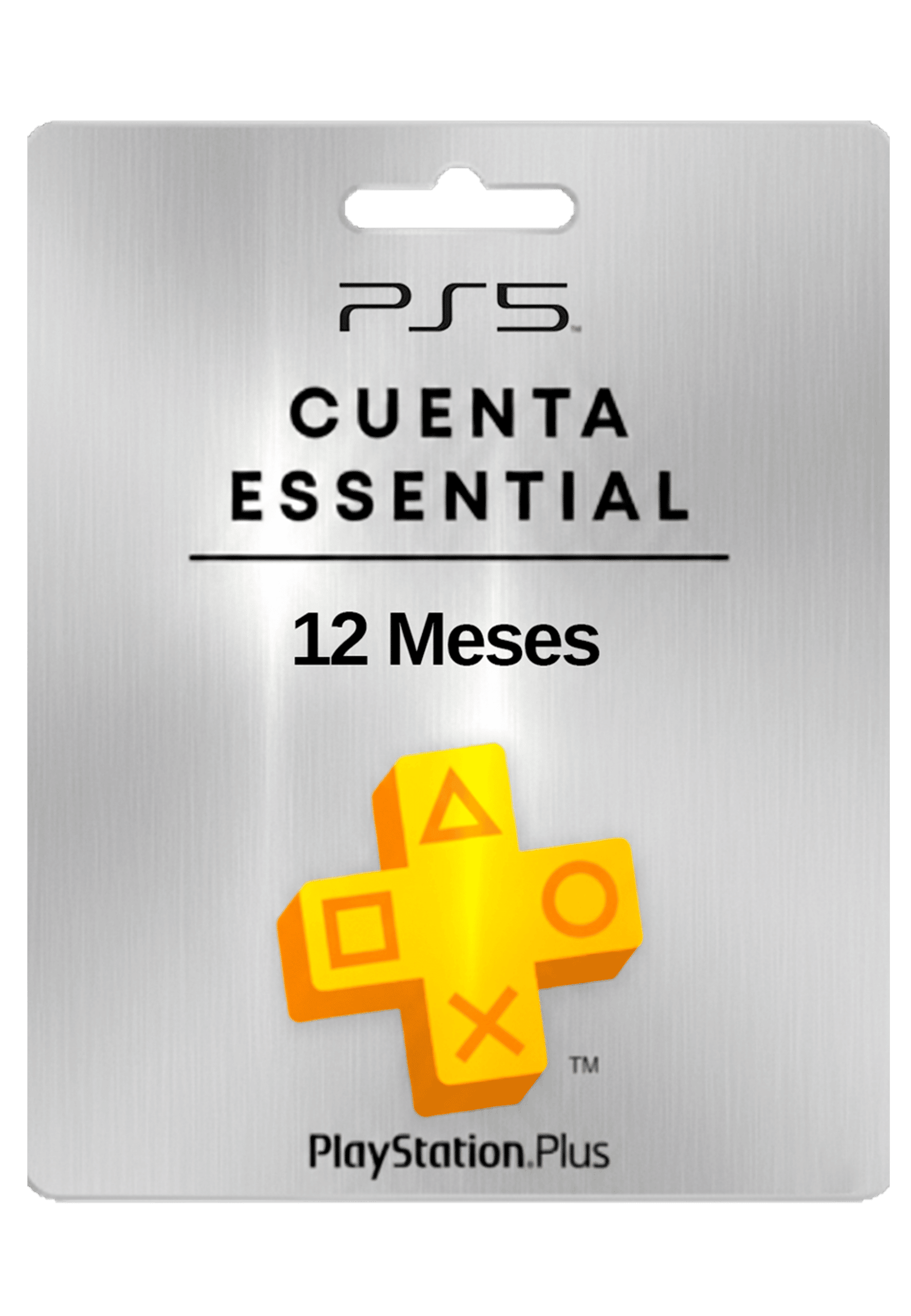 PSN PLUS ESSENTIAL 12 MESES PS5